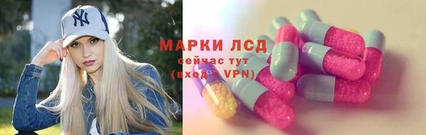 шишки Гусь-Хрустальный
