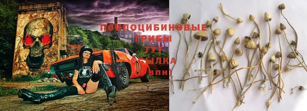 прущая мука Гусев