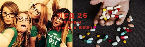 шишки Гусь-Хрустальный