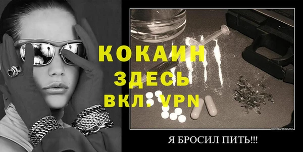 молекула духа Осинники